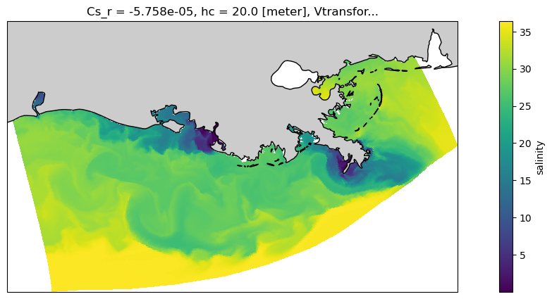 ../_images/examples_ROMS_ocean_model_15_2.png