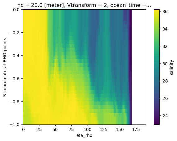 ../_images/examples_ROMS_ocean_model_9_1.png